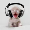 musiccat