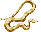 snake